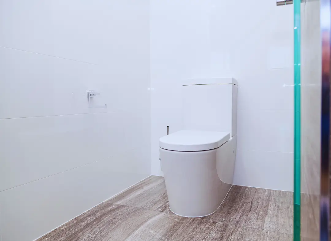 Remplacement de wc Latresne